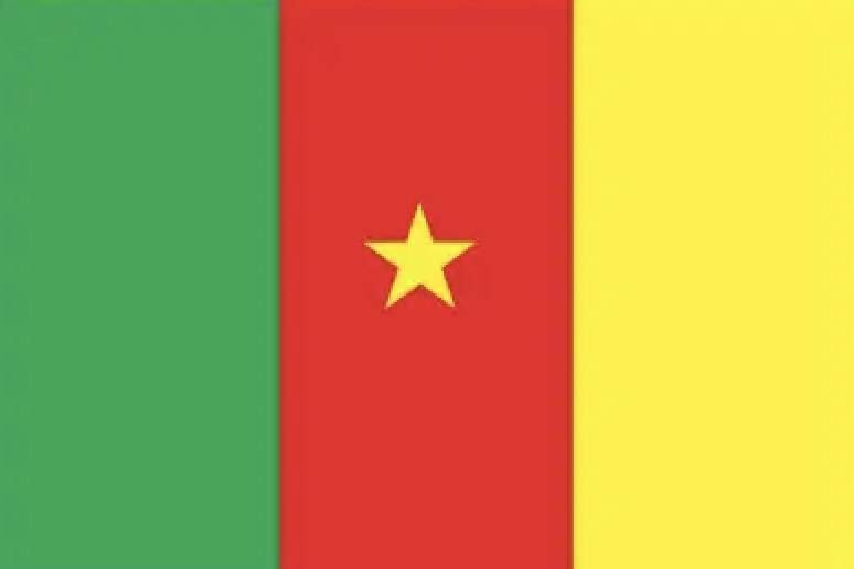 flag of Cameroon